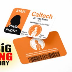The Big Bang Theory Custom Cosplay ID