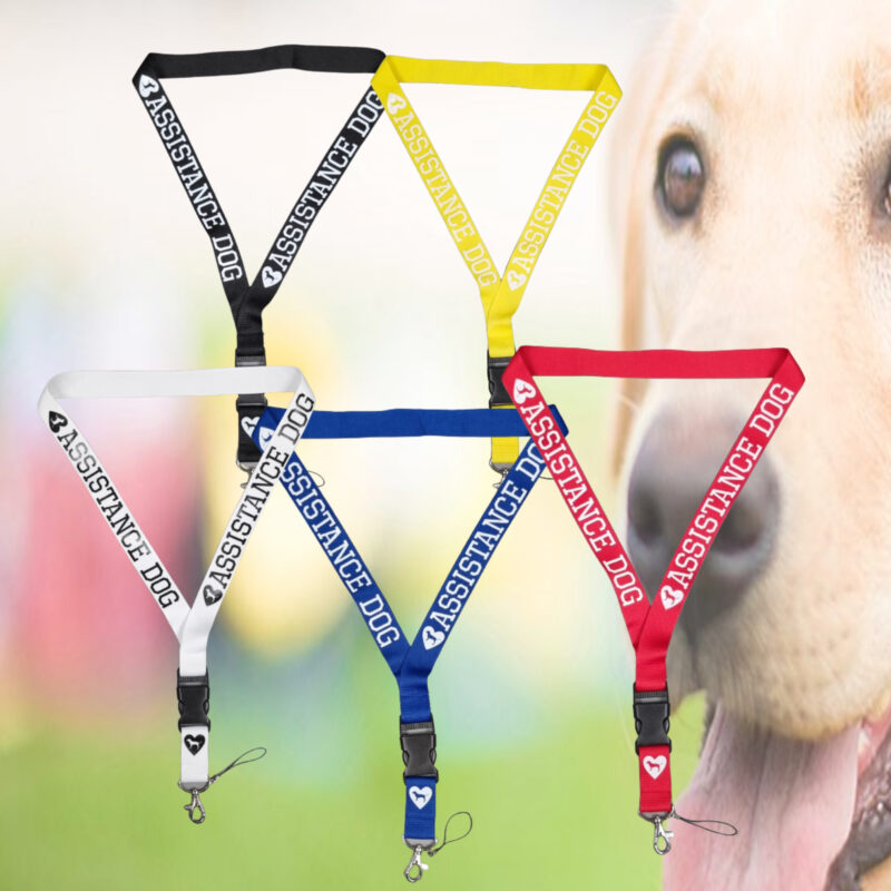 Jurassic Park Lanyard - NS DESIGN