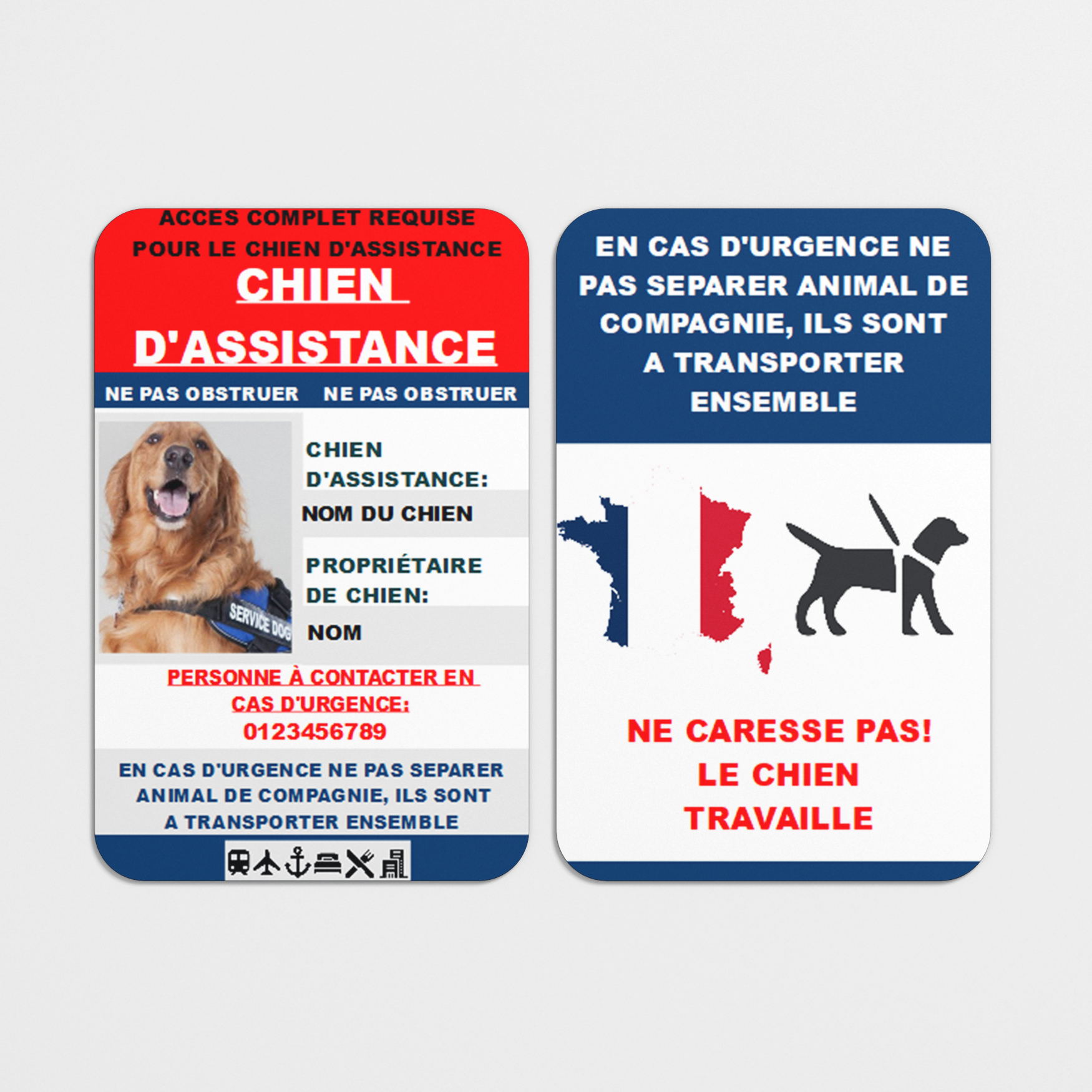 Assistance Dog Portrait Card in French