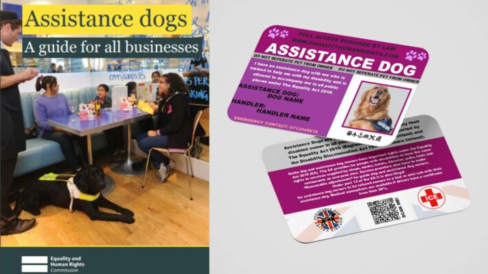Understanding Your Rights: Proving Your Assistance Dog's Status