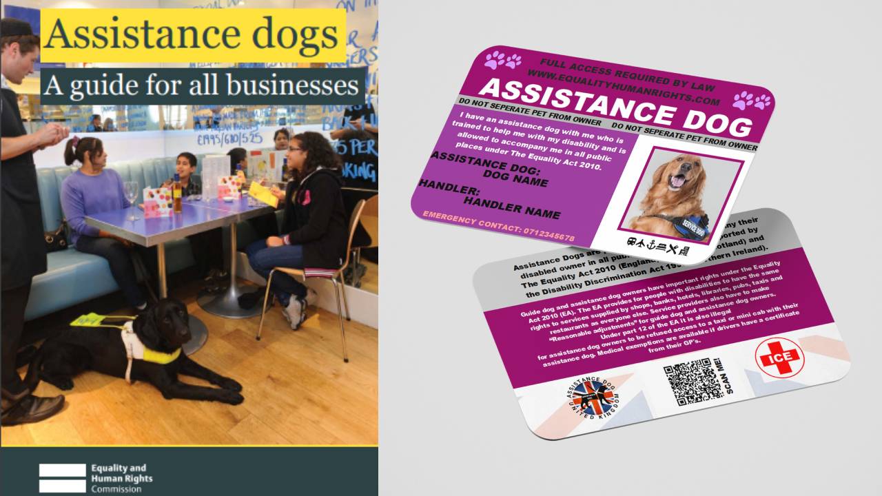 Understanding Your Rights: Proving Your Assistance Dog's Status