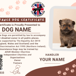 UK Assistance Dog Certificate